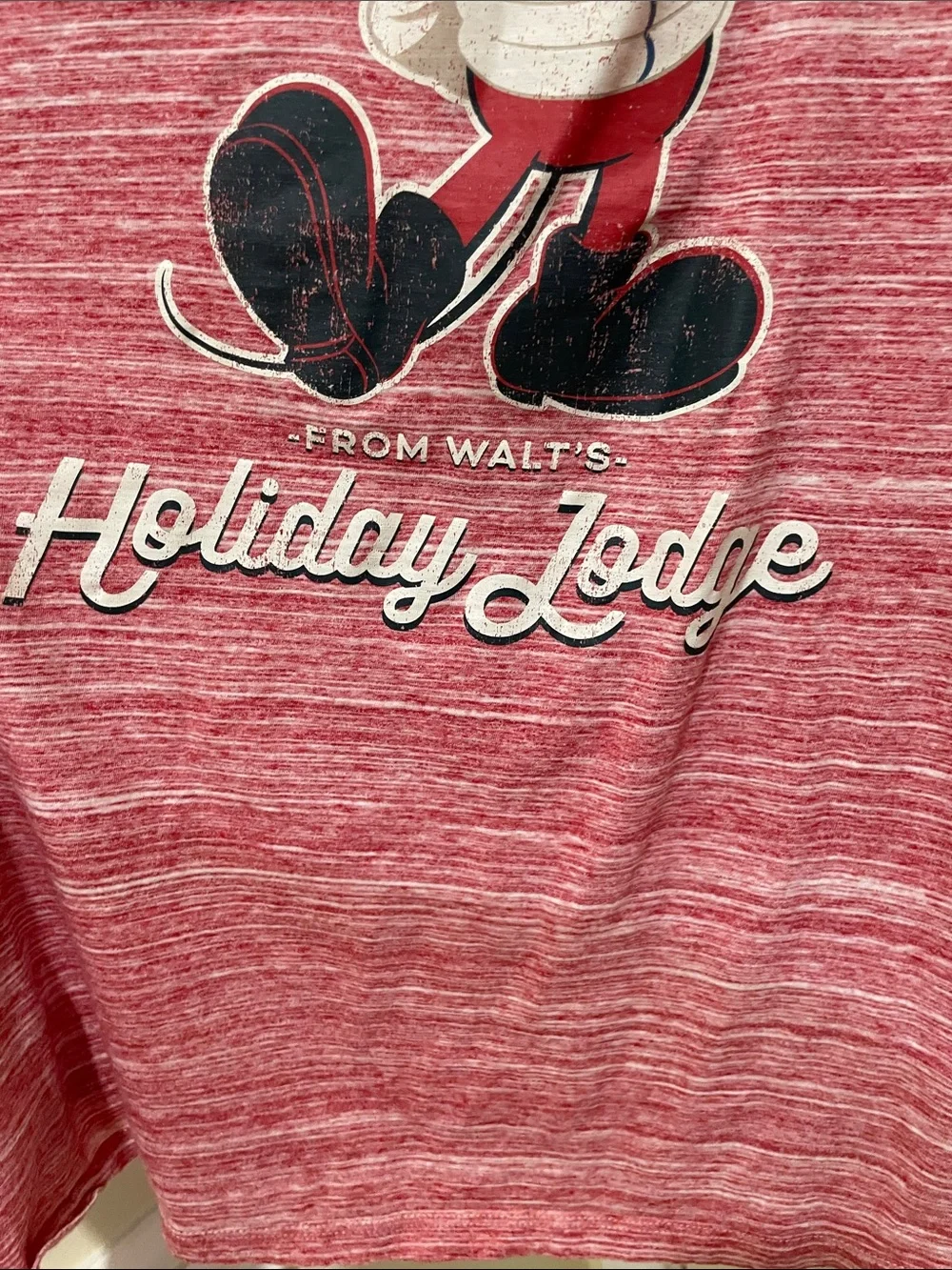 Disney Mickey Mouse Holiday Lodge Tee men’s 4xl